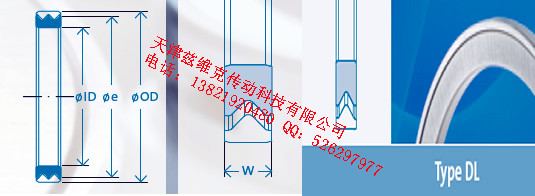 GMNDL35X47X4油封圖紙